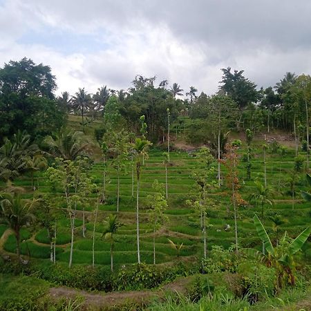 Tetebatu Sunrise Homestay Exterior foto